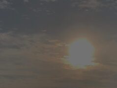 Puisi-Puisi 5 penyair eksplorasi kehidupan sehari-hari, refleksi batin, dan lingkungan sosialnya